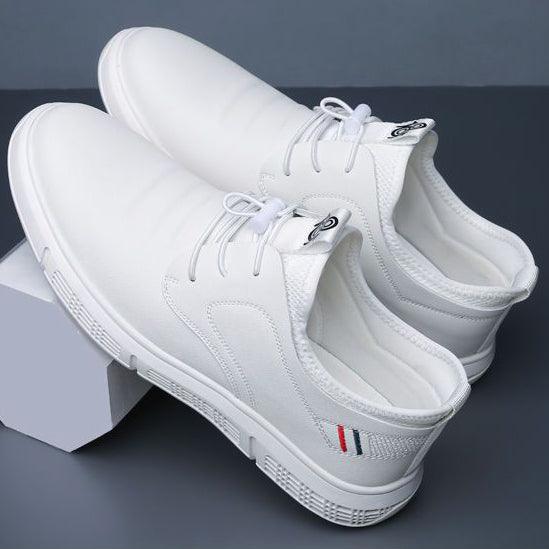 Lionwave™ Elegant Shoes for Men