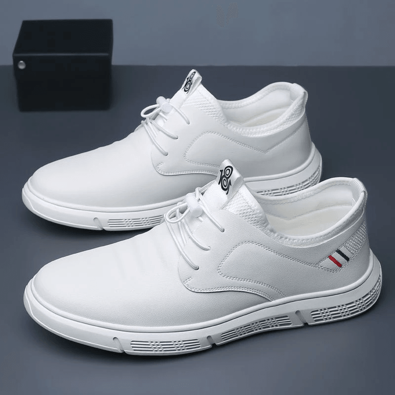 Lionwave™ Elegant Shoes for Men
