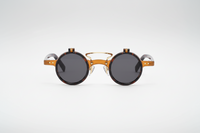 Turtle with Dark Lenses